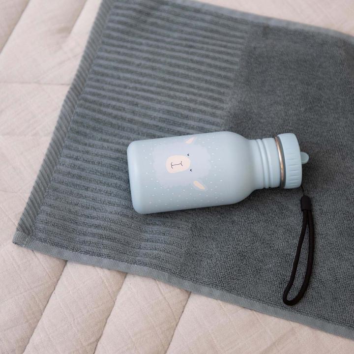 Produktbild Trixie Flasche (0.35 l)