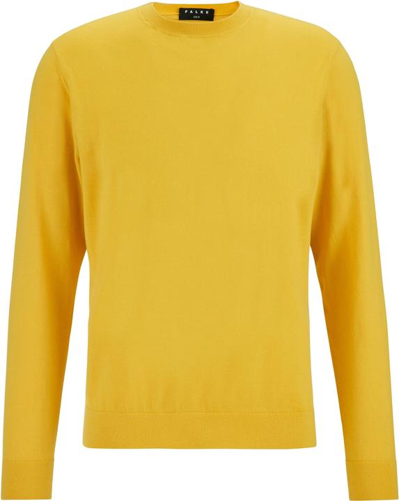 Image du produit Falke Pulls pour hommes (S)
