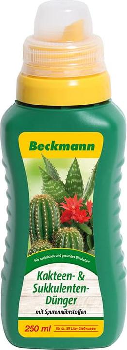 Actual product image Beckmann Kakteen- & Sukkulentendünger (0.25 l)