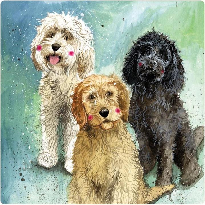 Image du produit Teka Magnet FM229 Cockapoo-Hunde