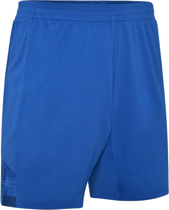 Bleu roi