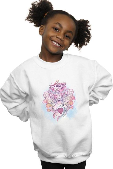 Image du produit - Sweat ALWAYS DOE - Fille (116)