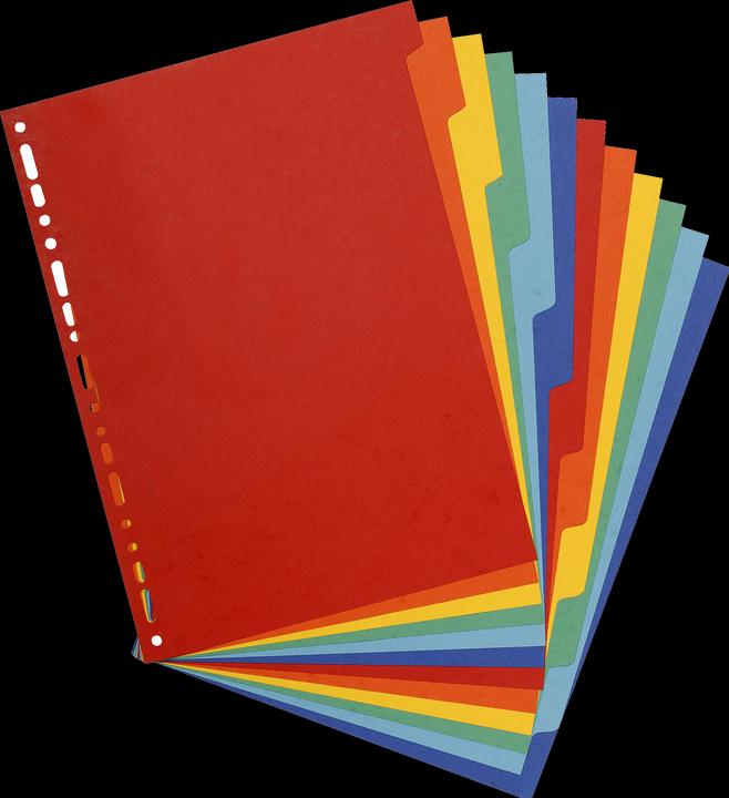 Image du produit Exacompta Intercalaires vierges - carton