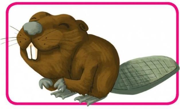 Immagine prodotto Repos Production Concetto Bambini - Animaux (Francese)