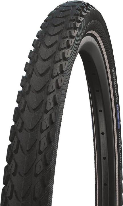 Schwalbe Marathon Mondial Evolution