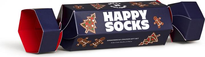 Actual product image Happy Socks Holiday (pack of 2, 33 - 35)