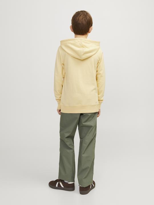 Image du produit Jack & Jones Jorcobin Sweat Hood Jnr (176)