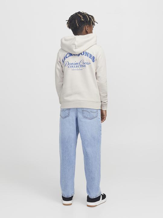 Produktbild Jack & Jones Jjebrandes Backp Relaxed Sweat H Sn Jnr (176)