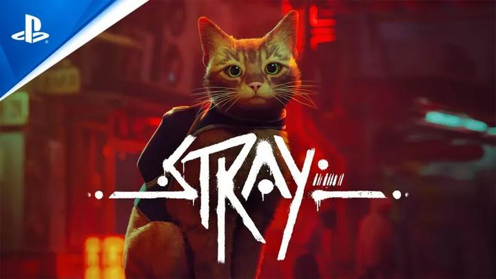 Actual product image BlueTwelve Studio Stray (PS4, DE)