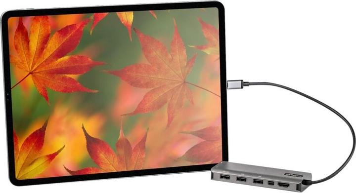 Image du produit StarTech DKT31CMDPHPD (USB-C, 7 Ports)