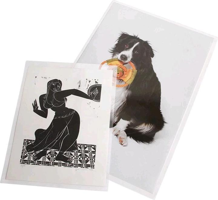 Immagine prodotto Safe Copertina per poster per formati A25 pz (A2, 5 x)