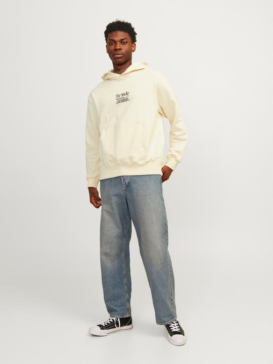 Image du produit Jack & Jones Jornoto Graphic Sweat Hood (S)