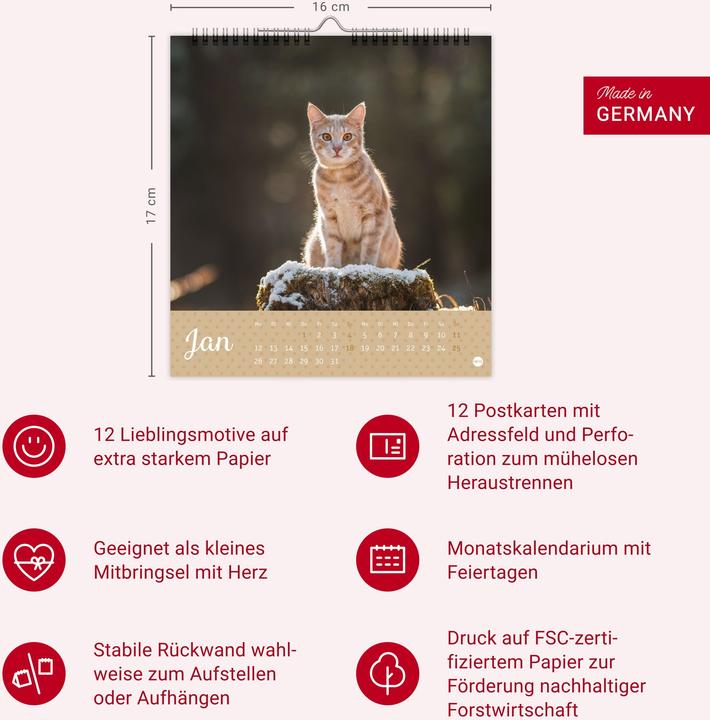 Image du produit Katzen Postkartenkalender Kleine Tiger 2026 (16 x 17 cm, Couverture rigide, Allemand)