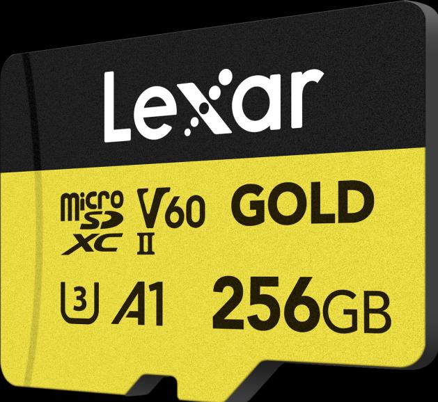 Image du produit Lexar MicroSDXC Gold Series UHS-II 256GB V60 (256 Go, microSDXC, U3, UHS-II)