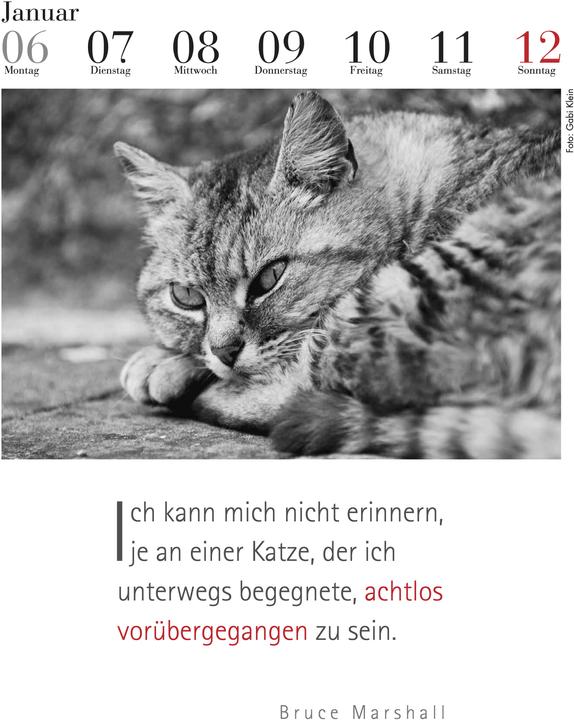 Produktbild Der literarische Katzenkalender (24 x 32 cm, Kein Einband, Deutsch)