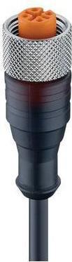 Immagine prodotto Belden M12 Fem Droit Pur