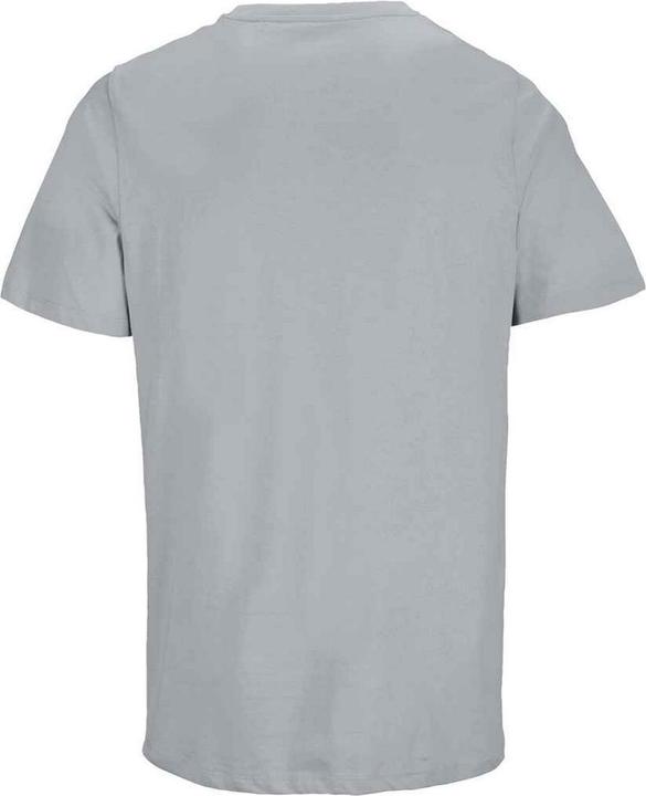 Actual product image Sols Unisex Adult Legend Organic T-Shirt (L)