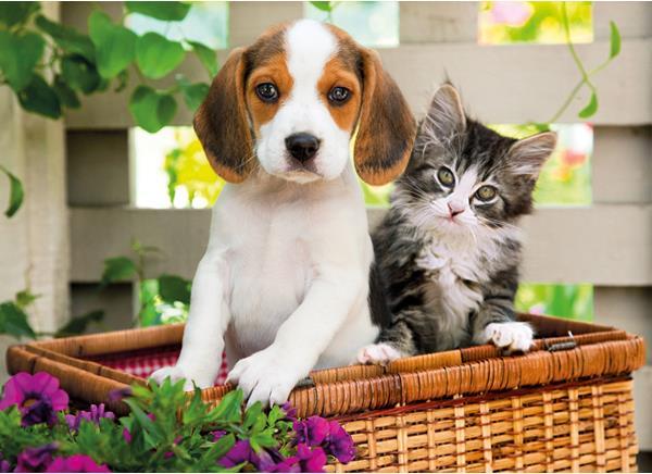 Clementoni Hund & Katze (1000 Teile)