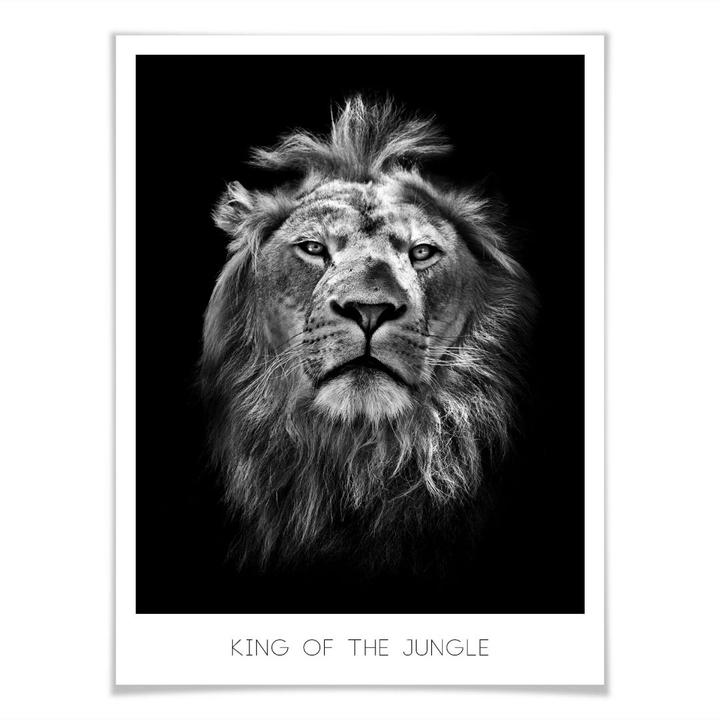 Immagine prodotto Trenddeko Leone - Re della giungla (100 x 120 cm)