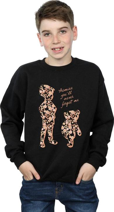 Actual product image Disney Boys Winnie The Pooh Promise You'll Never Forget Sweatshirt (140, 146)