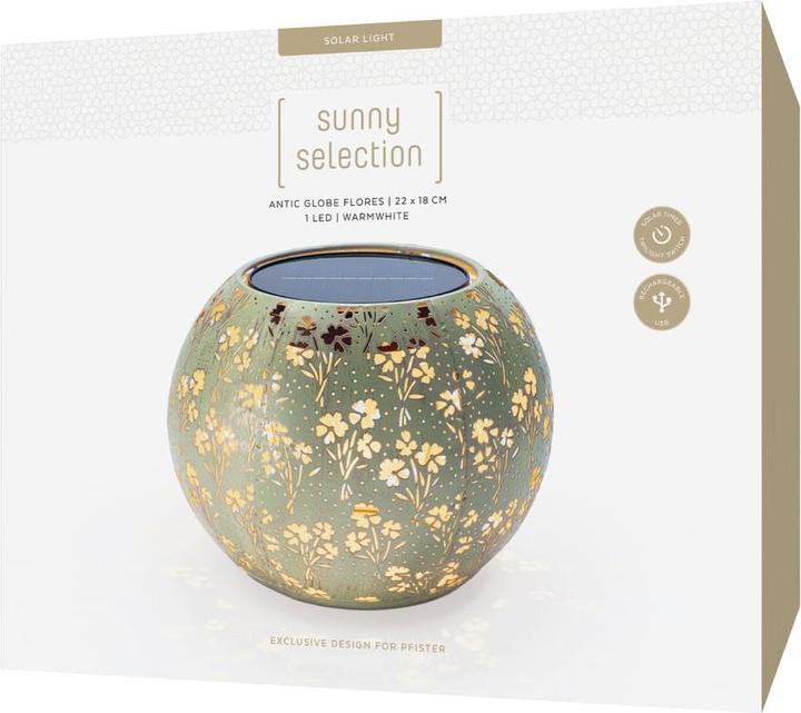 Actual product image STT Solar Light
