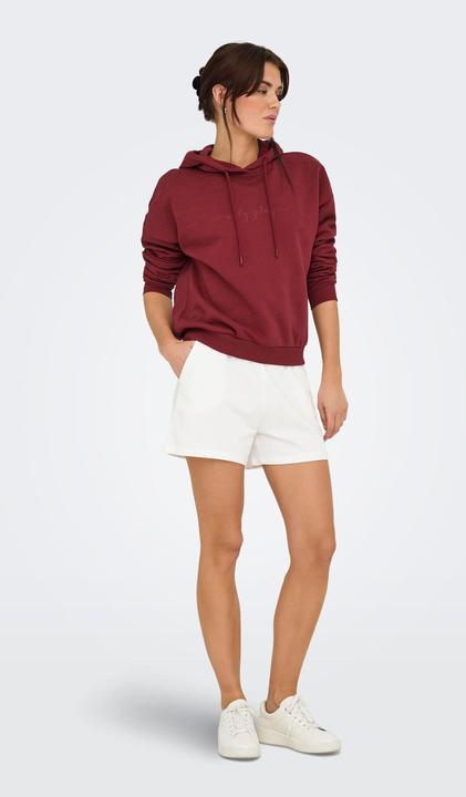Immagine prodotto Only Play ONPLUX Sweatshirt Kapuzenpullover (XS)