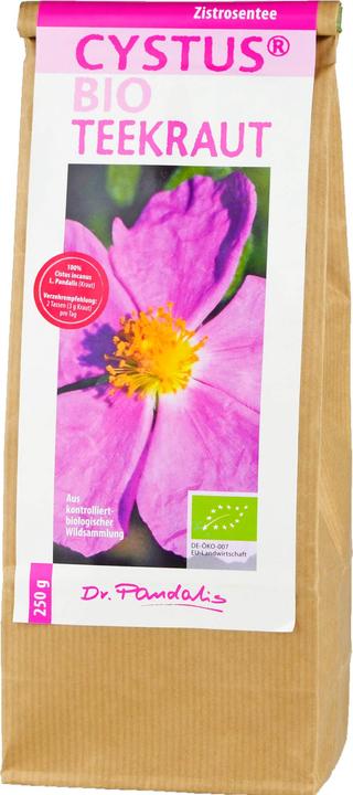 Produktbild Dr. Pandalis Cystus Bio Teekraut Zistrosentee, 250 g Tee (250 g)