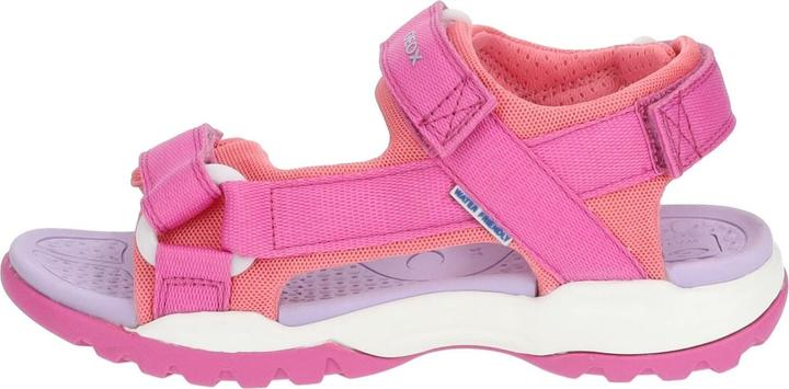 Actual product image Geox Sandalen (35)