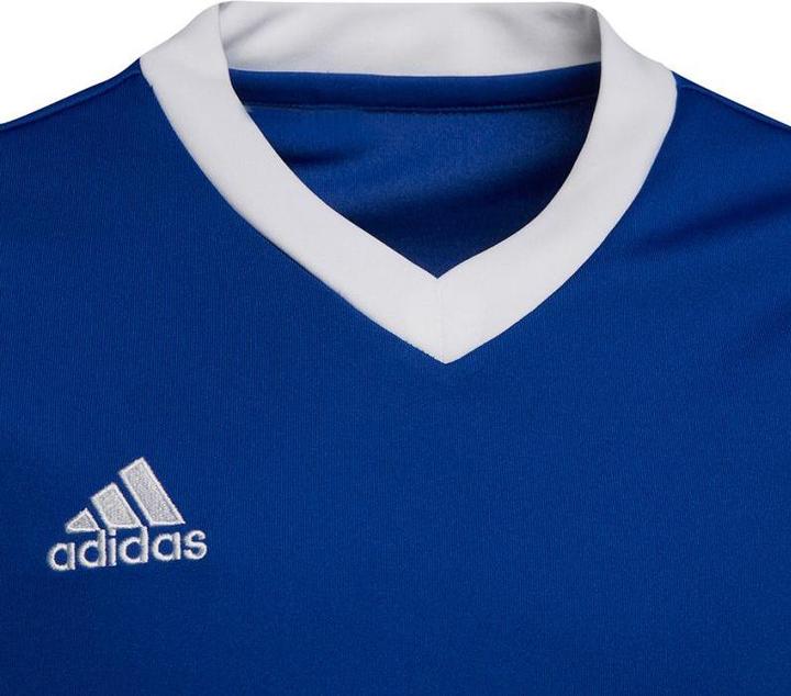 Produktbild adidas Entrada 22 Fussballtrikot Kinder (152)