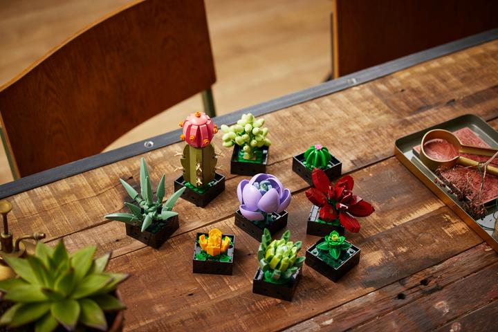 Actual product image LEGO Succulents (10309, LEGO Botanical, LEGO Rare Sets)