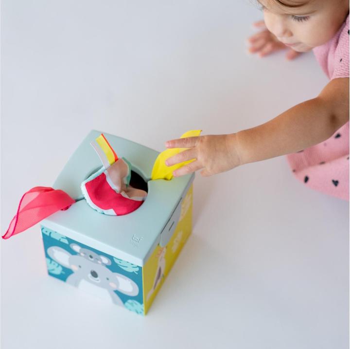 Actual product image Taf Toys Kimmy the Koala
