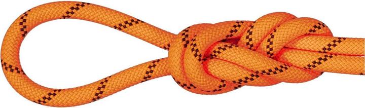 Actual product image Mammut 8.7 Alpine Transmitter Dry Rope (40 m)