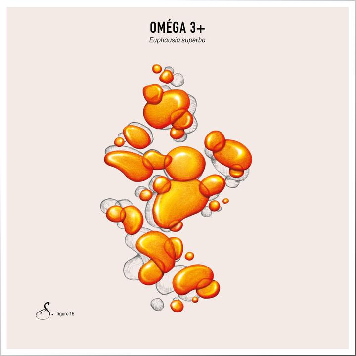 Image du produit Sekoya Omega 3+ | DHA & EPA (90 pièce(s), Capsules)