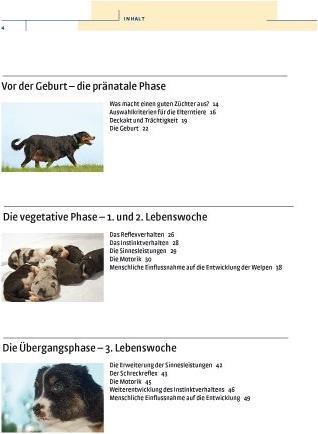 Actual product image Kosmos Vom Welpen zum Familienhund mit Natural Dogmanship (German, JAN, Nijboer, 2015)