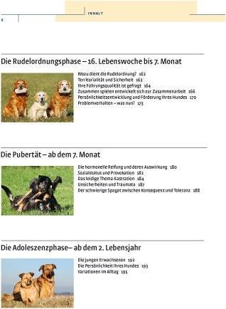 Actual product image Kosmos Vom Welpen zum Familienhund mit Natural Dogmanship (German, JAN, Nijboer, 2015)