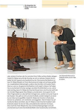 Actual product image Kosmos Vom Welpen zum Familienhund mit Natural Dogmanship (German, JAN, Nijboer, 2015)