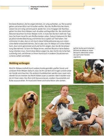 Actual product image Kosmos Vom Welpen zum Familienhund mit Natural Dogmanship (German, JAN, Nijboer, 2015)