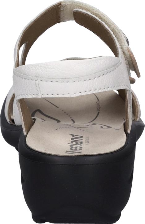 Immagine prodotto Westland 25901-272 (39)