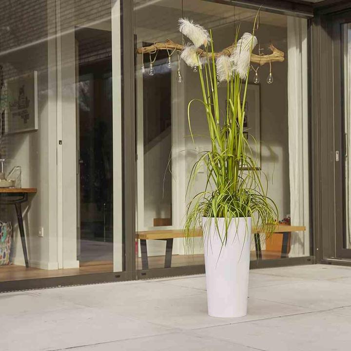 Produktbild Siena Garden Modern (25000 cm)