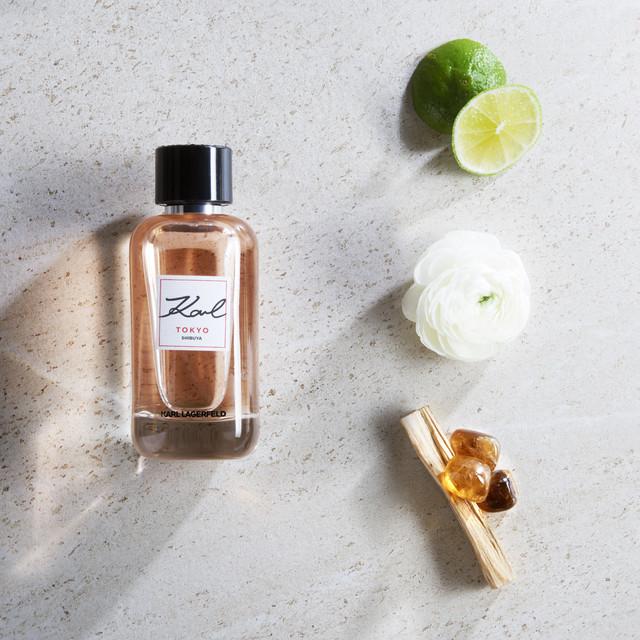 Image du produit Karl Lagerfeld Eau de Parfum (Eau de parfum, 100 ml)