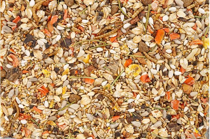 Actual product image Schweizer Staple Food Mini-Mix for Gerbils, Hamsters & Rats, 950 g (0.97 kg, 1 x)