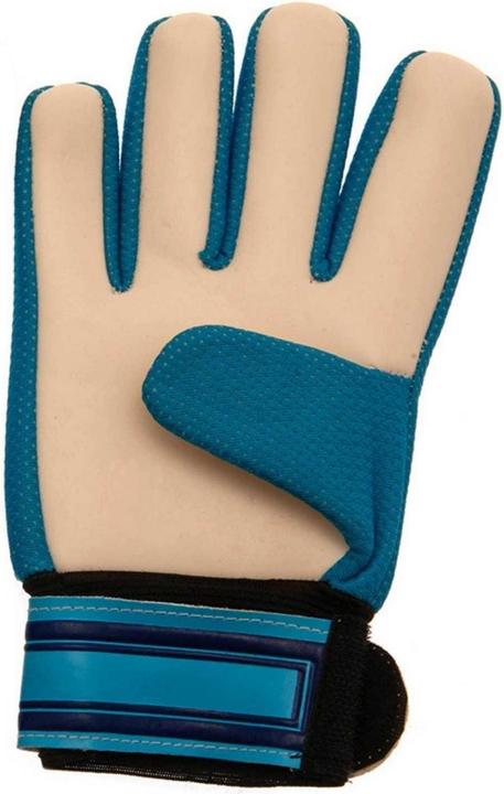 Image du produit Tottenham Hotspur FC Gants de gardien de but Crest Childrens/Kids (5, 6, 7, 8, 9, 10)