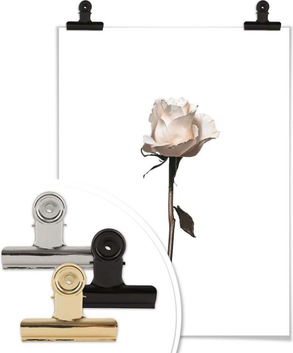 Actual product image Trenddeko The white rose (40 x 50 cm)