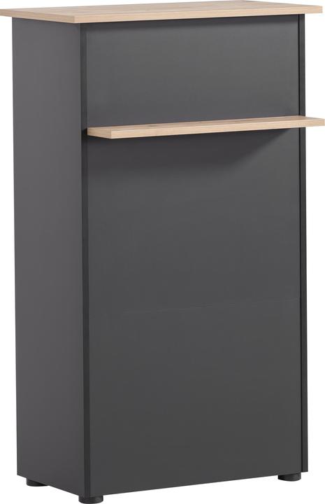 Schildmeyer Empfangstresen (66 x 44 x 110.5 cm)