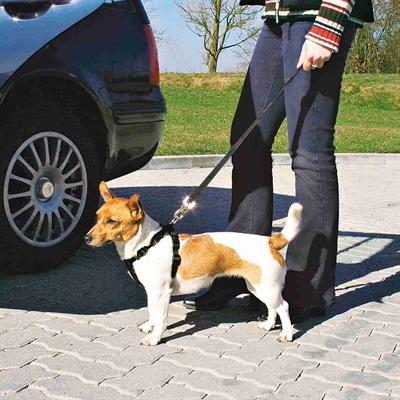 Produktbild Trixie Auto-Geschirr (XS, Hund, Allgemein)