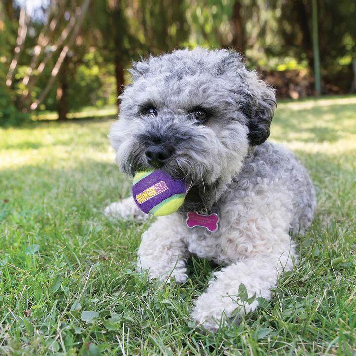 Image du produit KONG CrunchAir (Jouet à balle chien)