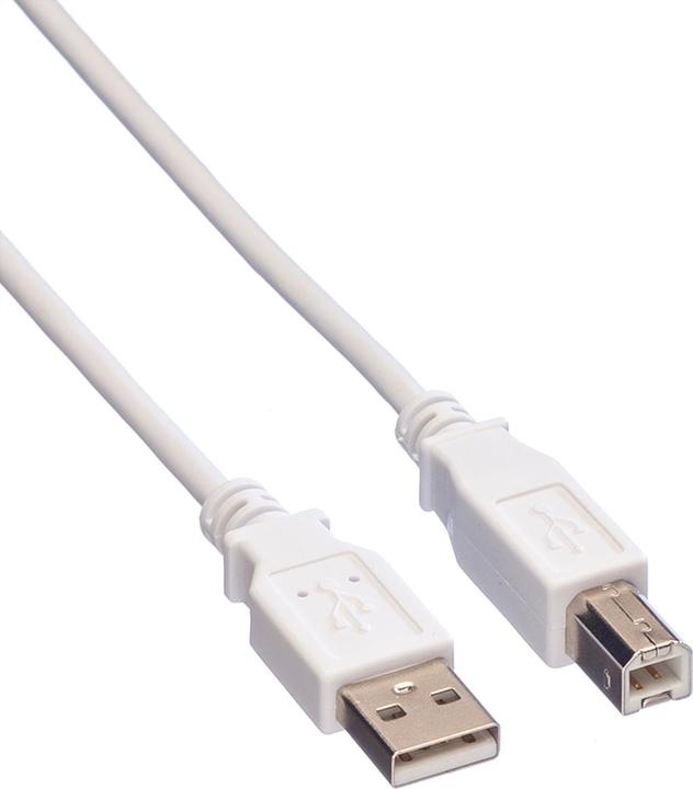 Produktbild Value USB 2.0 (4.50 m, USB 2.0)