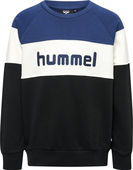 Image du produit hummel Sweat-Shirt Hmlclaes (134)