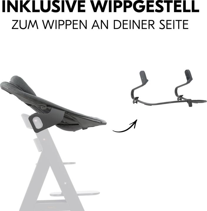 Actual product image Hauck Alpha Bouncer