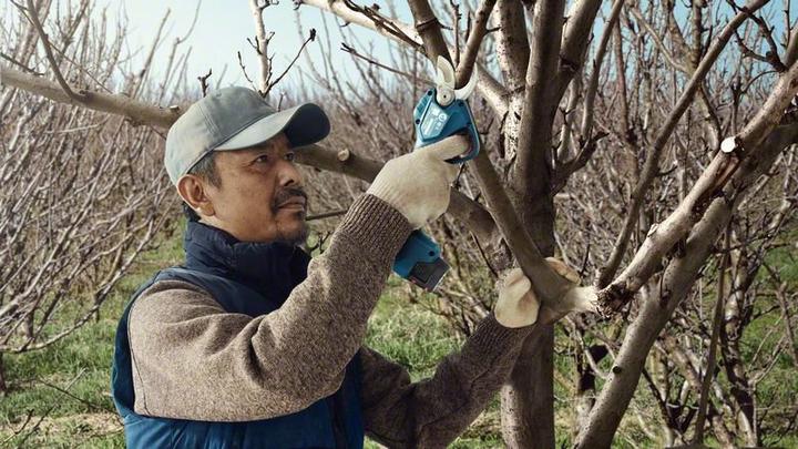 Immagine prodotto Bosch Professional Pro Pruner